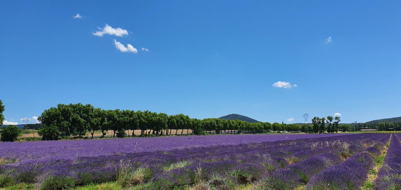 La Grange - Chez Gisi - Fuer Naturliebhaber, Abenteurer Und Geniesser Rocles  Dış mekan fotoğraf